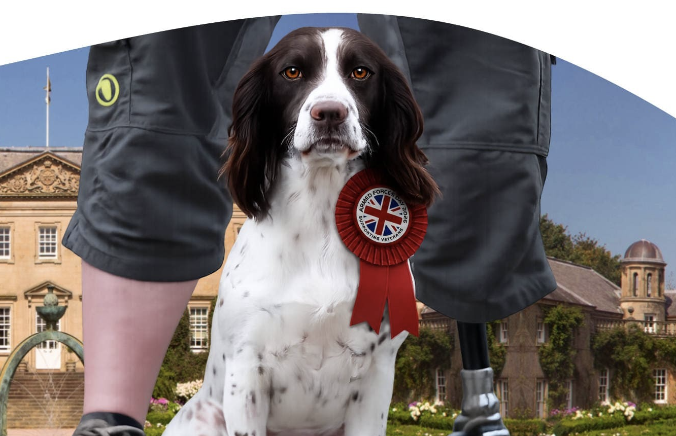 Dumfries House Dog Show in Support of Armed Forces day